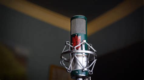 beez kneez review|Review: Beesneez Oliver — AudioTechnology.